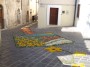 infiorata (33)